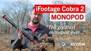 iFootage Cobra 2 Long-Term Review: The Greatest Monopod In The History Of Ever