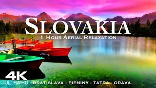 SLOVAKIA & Bratislava in 4K  1 Hour Drone Aerial Relaxation of the Slavak Republic | Slovensko