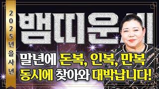 '인생을 뒤바꿀 대운이 들어온다' / 2025년 뱀띠는 금전문이 열리고 문서가 강하게 들어와 인생역전 대박난다! 뱀띠분들 인생이 달라집니다! 53년생 65년생 77년생 89년생