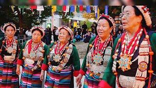 TIBETAN TRADITIONAL GHORSHEY || TiBETAN CIRCLE DANCE || TIBETAN CULTURE