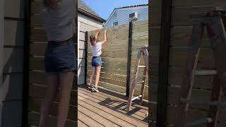 EASIEST DIY PRIVACY WALL || #diy #backyard