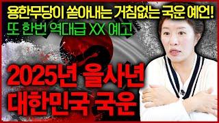 2025년 대한민국 우리나라 국운예언 역대급 싸움 2024년의 연장선이 보인다..? 을사년스럽다 증말!