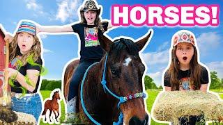 A Day in the Life of a Horse Owner! (Horses for Kids)