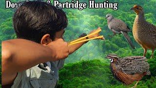 Quail & Partridge Hunting with Slingshot PART 2