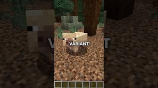 EVERYTHING ADDED TO MINECRAFT IN 2025 SO FAR!