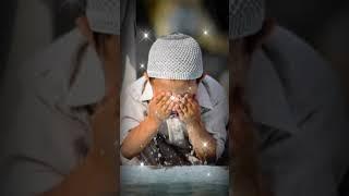 Wazu Karne Ka Tarika | Deen E Islam | Voice Of Zakir #shorts