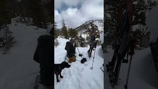 Backcountry Skiing