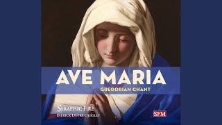 Ave Maria [Gregorian plainchant]