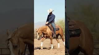• Revolutionize your riding skills with Reiningmasterclass.com.  #MasterYourRide