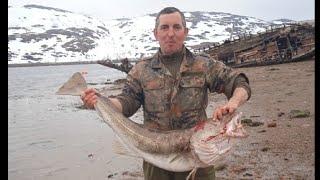 ТЕРИБЕРКА "РУЛИТ". МОРСКАЯ РЫБАЛКА В БАРЕНЦЕВОМ МОРЕ. "TERIBERKA. SEA FISHING IN THE BARENTS SEA".