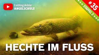 Hechtangeln im Fluss mit Gummifisch 