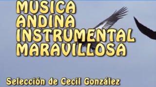 MUSICA ANDINA INSTRUMENTAL MARAVILLOSA. ANDEAN INSTRUMENTAL MUSIC | Musica De Cecil Gonzalez