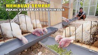 MEMBUAT TEMPAT PAKAN AYAM | SOLUSI WADAH PAKAN MUDAH, PRAKTIS, TETAP ESTETIK DI MATA