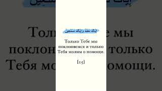 почему Аллах нас заставляет ходить по земле?