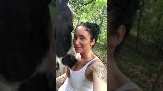 When your horse wants you to stop working so he can give you all the kisses
