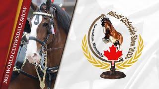 2023 WORLD CLYDESDALES SUNDAY JULY 23 CLASSES