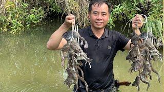 Jhony caught a lot of frogs after a night of heavy rain