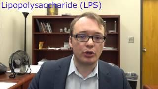 Testing the fibromyalgia immune system with lipopolysaccharide (LPS)