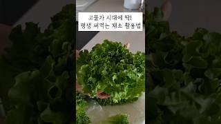 채소 비싸게 사지 마세요! 샐러드, 쌈 좋아한다면 보세요