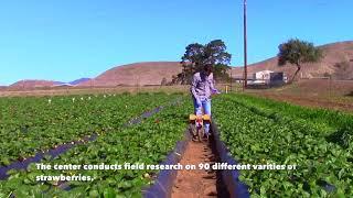 Introducing the Cal Poly Strawberry Center!