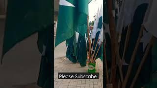 Pakistan's Flag Nation's Proud || #shorts