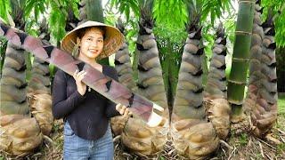 Harvesting Giant Bamboo Shoots: 4 Delicious Bamboo Shoot Recipes | Linh Đan Harvest