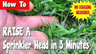 How To Easily Raise a Sprinkler Heads in 3 Minutes Without Digging