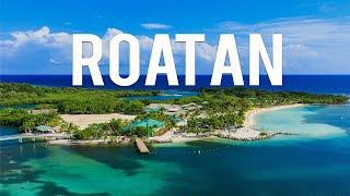 Roatan Honduras: 8 Best Things To Do In Roatan Honduras