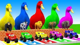 5 Giant Duck Cartoon,Cow,Mammoth,Elephant,Lion,Tiger Paint Wild Animals Crossing Fountain Animation