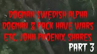 DOGMAN, SWEDISH ALPHA DOGMAN & PACKS HAVE WARS ETC. JOHN PHOENIX SHARES PART 3