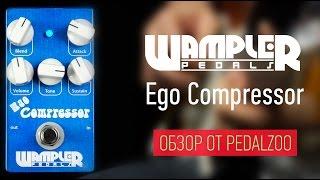 Wampler Ego Compressor - Обзор педали от PedalZoo