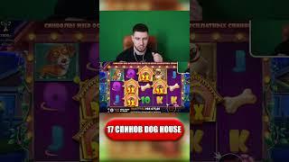 ПОЙМАЛ 17 СПИНОВ в DOG HOUSE по МОЩНОЙ СТАВКЕ #shorts