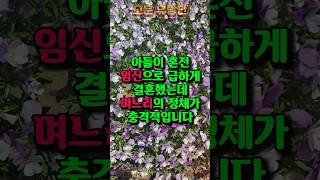 아들이 혼전임신으로 급하게 결혼했는데 며느리의 정체가 충격적입니다. #시댁사연 #시댁썰 #시어머니와며느리 #인생사연 #아들결혼 #노후사연 #사연라디오 #인생지혜 #노년지혜 #사연