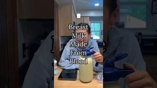 Breast Milk Made From Blood