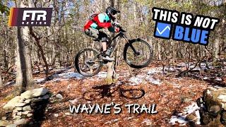 Black jumps on a Blue trail – Wayne’s Trail – Frederick Watershed, MD  [FTR Series]