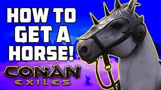 How to get a Horse in Conan Exiles