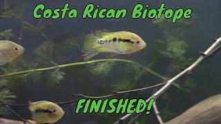 Costa Rican Biotope is Finished!