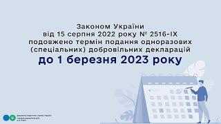 Термін подання добровільної декларації подовжено
