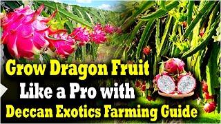 Dragon Fruit Farming | Dragon Fruit Farming Guide | Dragon Fruit Farming in India | Deccan Exotics