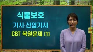 주경야독 이정희 식물보호기사 식물보호산업기사 필기 CBT복원문제 맛보기