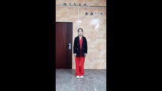 #歌曲踏马向自由dj版 #王晨楷#踏马舞步 #广场舞dou起来 #抖音热歌