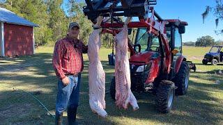 Butchering our feeder pig and making bacon