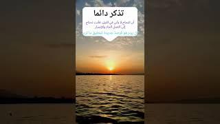 كيف تعمل بشكل حر لتحقيق النجاح. لاتتوقف عند الفشل استمر في المحاولة.