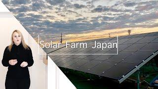 50 KW Solar Farm in Japan | Is it worth it?