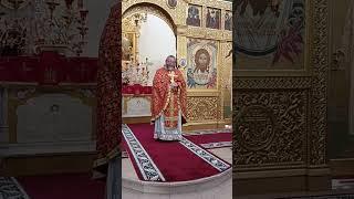 29 мая 2024 г. Проповедь прот. Игоря Гагарина в день Преполовения Пятидесятницы