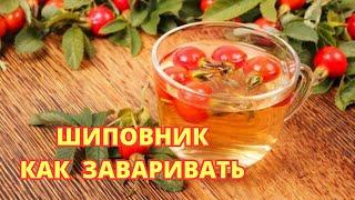 ШИПОВНИК... Как правильно заваривать? Как хранить?