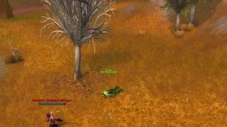 WoW - Level 19 Twink Flag Tricking Noobs in Westfall