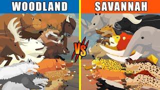 Woodland vs Savannah Animals [S1] | Animal Animation