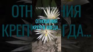 Мудро сказано! Жизненные Цитаты про Отношения и Любовь #цитаты #отношения #любовь #жизнь #шортс