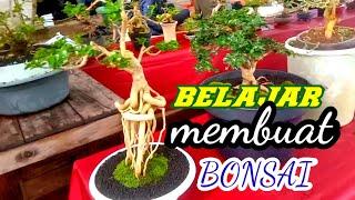 BELAJAR BONSAI BOYOLALI(BBB)// Berkreasi dalam membuat bonsai